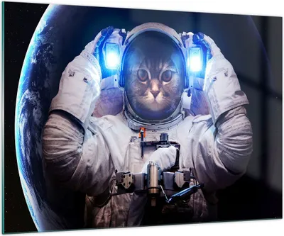 Produktbild von Bilder auf glas - Kosmonaut Katze - 100x70cm - Glasbilder - Wandbilder - Kunstdruck - zum Aufhängen bereit - Wanddekoration aus Glas - Glas Bilder - Wandbild auf Glas - Einteilig - GAA100x70-3734