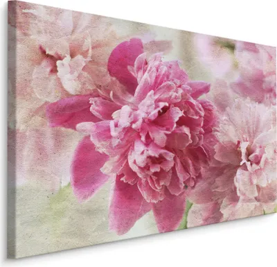 Obrázek produktu pro Obraz do ložnice květiny pivoňky příroda Wildlife s módním 3D efektem 120x80cm