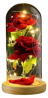Produktbild von Ewige Rose 2er im Glas mit RGB licht Rose Geschenke für Frauen