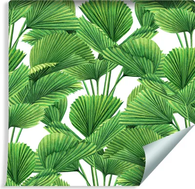 Zdjęcie produktu dla Tapeta Ścienna  Abstrakcyjna Nowoczesna Egzotyczne LIŚCIE Tropikalne Akwarela Natura modny efekt 3D