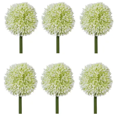 Produktbild von 6er Set künstliche Allium Kugelblüten weiß H. 64cm Blüte D. 11cm GASPER