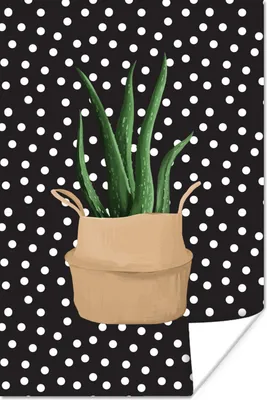 Produktbild von MuchoWow® Poster Pflanzen - Zimmerpflanze - Aloe Vera 80x120 cm - Papierdruck