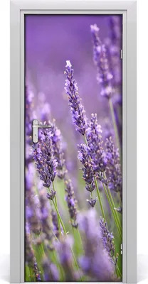 Produktbild von Tulup Türaufkleber 75x205 cm Dekorative Aufkleber Selbstklebend Wasserdichte Tapete Abnehmbar Schlafzimmer Wohnzimmer Wohnkultur - Lavendelfeld