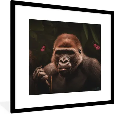 Produktbild von MuchoWow® MuchoWow® Gerahmtes Poster Tiere - Schmetterling - Affe 40x40 cm - Poster mit zchwarzem Bilderrahmen - Poster - Plakat im Rahmen