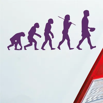 Produktbild von Auto Aufkleber Evolution Football Sport Ball 20x10 cm Lila Sticker Heckscheibenaufkleber