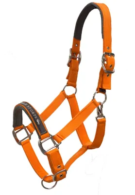 Produktbild von Schockemöhle Sports Halfter Memphis Stallhalfter Orange WB