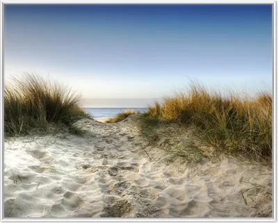 Produktbild von Wallario Wandbild Weg durch die Dünen zum Strand am Meer, Größe: 40,30 x 50,30 cm, Poster mit weißem Aluminiumrahmen