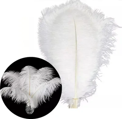 Immagine prodotto di Piume Piume di struzzo, circa 20-30 cm, 20 pezzi, bianco