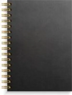 Image de Burde carnet A5 noir/or