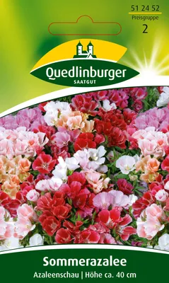 Produktbild von Sommerazalee Azaleenschau Mischung | Azaleensamen von Quedlinburger