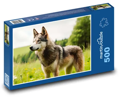 Obrázok produktu pre Puzzle 500 Vlk v divokej prírode - martinpuzzle