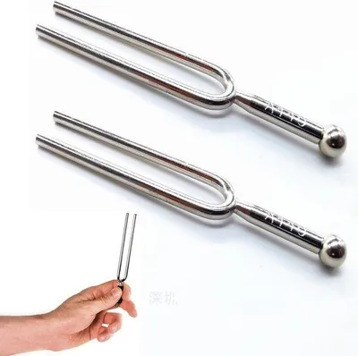 Immagine prodotto di 2 diapason in acciaio, inclusi diapason a 440 Hz, panno per la pulizia e custodia da trasporto nera; set di diapason per strumenti musicali, violino, chitarre, accordatori