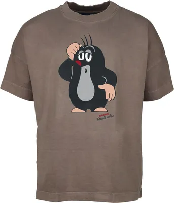 Produktbild von Der kleine Maulwurf Oversize T-Shirt Herren Der kleine Maulwurf - Oversize multicolor M