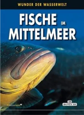 Produktbild von Ghisotti, A: Fische im Mittelmeer