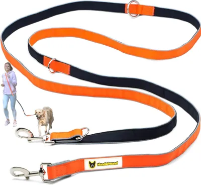 6-in-1 Hundeleine, verstellbar, 3m, reflektierend, für große Hunde