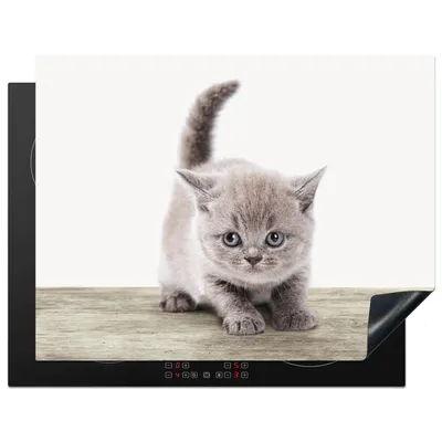 Produktbild von KitchenYeah© Herdabdeckplatte Kätzchen - Katze - Haustiere - Jungen - Kinder - Mädchen , 77x59cm, Küche Deko, Glaskeramikkochfeld Herdabdeckung, Abdeckplatte fùr Kochfeld