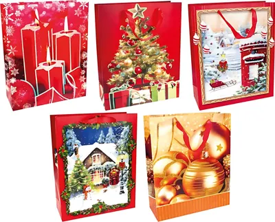 Produktbild von TROETSCH VERLAG Geschenktasche Weihnacht 24x18x8cm, sortiert