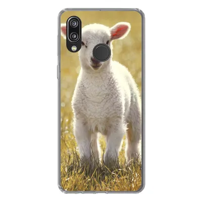 Produktbild von MuchoWow® Handyhülle Schutzhülle Hülle für Huawei P20 Lite (2020) Schafe - Gras - Sonne Silikon Softcase Handy Hülle - Kartenhalter