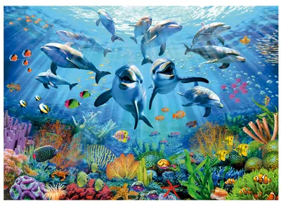 Immagine prodotto di EDUCA Puzzle Fun subacqueo 500 pezzi