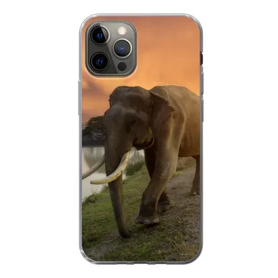 Produktbild von MuchoWow® Handyhülle Schutzhülle Hülle für iPhone 12 Pro Elefant - Wasser - Tiere - Sonnenuntergang - Natur Silikon Softcase Handy Hülle - Abdeckung