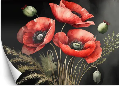 Produktbild von Vlies fototapete Gemalte rote Mohnblumen 200x140 cm Feeby Rot inkl. Kleber einfache Montage