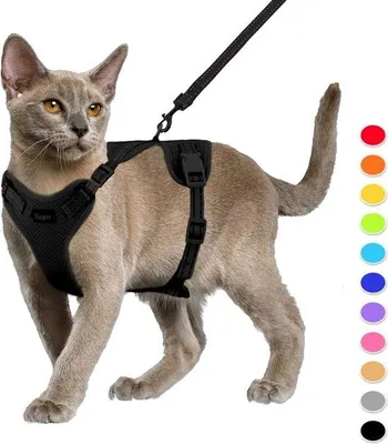 Produktbild von Famanu Katzenharness und Leinen-Set - Verstellbar mit reflektierenden Streifen