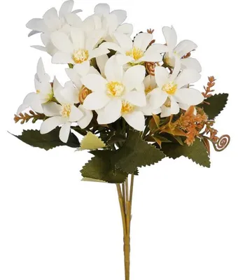 Productafbeelding van Strauss met vijf takken kleine bloemen, wit van kleur