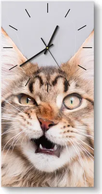 Produktbild von DEQORI Glasuhr 30x60 cm Modern 'Maine Coon Katze faucht' Wanduhr Glas Uhr Design leise