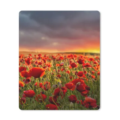 Produktbild von MuchoWow® Mauspad Mousepad Sonnenuntergang über einem Feld von Mohnblumen 19x23 cm - Mousepads - Maus Mat - Pad - Mausunterlage - Mauspads - Spielen