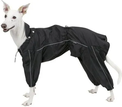 Image de Kerbl Imperméable Manchester, noir, 60 cm