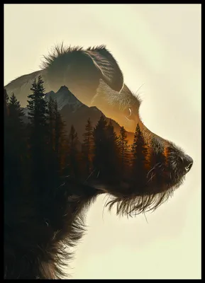 Produktbild von Poster 50x70cm Hundegeist Wald