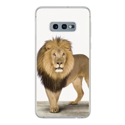 Produktbild von MuchoWow® Handyhülle Schutzhülle Hülle für Samsung Galaxy S10e Jungen - Löwe - Tiere - Kinder - Mädchen Silikon Softcase Handy Hülle - Handy