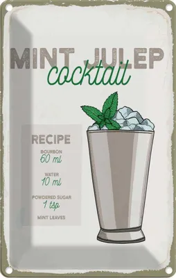 Produktbild von vianmo Blechschild 18x12 cm Mint Julep Cocktail Recipe