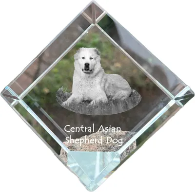 Immagine prodotto di Art-Dog Fermacarte – Cane da pastore dell'Asia centrale