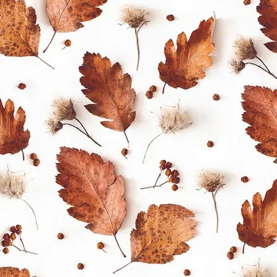 Produktbild von 20 Servietten 33x33 3-lagig Blätter Herbst braun