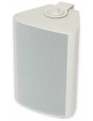 Immagine prodotto di Visaton 50310 Altoparlante WB 10, 100V+8 Ohm bianco