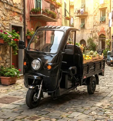 Produktbild von Elektro- Lastendreirad 25km/h 72V Elektro Dreirad Kipper Pritschenkipper 55924