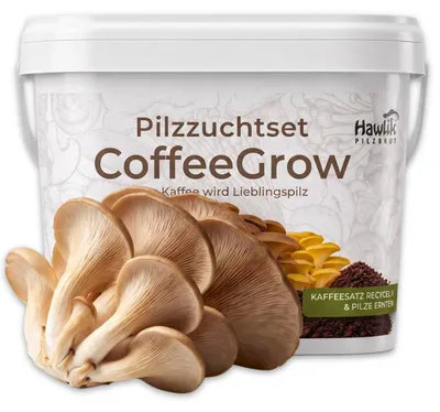 Produktbild von Hawlik Pilzbrut CoffeeGrow Austernpilz – Pilze züchten auf Kaffeesatz, Pilzzuchtset, +12 bis +20°C