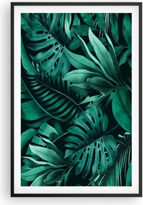 Produktbild von Gerahmtes Poster - Schwarzer Rahmen - Blätter Grafiken Monstera - 61x91,5 cm - Wand Bild - Wanddeko - Wandbilder - Kunstposter - Wandposter - Bilderrahmen - Bilder - Kunstdruck - P2BPA61x91-4886