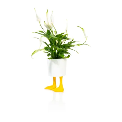 Produktbild von Entenfüße Mini Blumentopf aus Porzellan