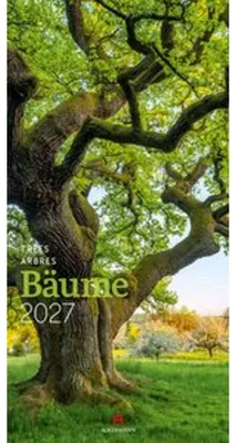 Obrázek produktu pro Kalendář stromů 2027