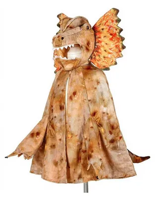 Immagine prodotto di Souza for Kids Costume da dinosauro Dilophosaurus 5-7 anni