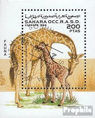 Produktbild von Briefmarken Sahara 1996 Mi Ausgabe der Exilregierung ohne Gültigkeit im int. Postverkehr Nr.79 gestempelt Giraffe