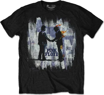Produktbild von Pink Floyd Wish You Were Here Painting Black XL T-Shirt