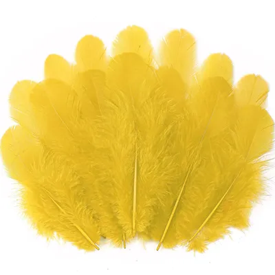 Productafbeelding van Bastelfedern in Goudkleur - 300 Stuks, 7,6–12,7 cm
