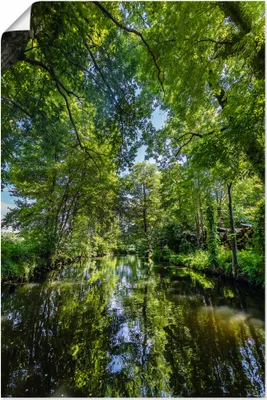 Produktbild von ARTland Poster SPREEWALD Kahnfahrt durch die Fließe Größe: 20x30 cm