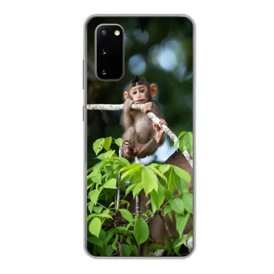 Produktbild von MuchoWow® Handyhülle Schutzhülle Hülle für Samsung Galaxy S20 Baby - Affe - Äste Silikon Softcase Handy Hülle - Bild