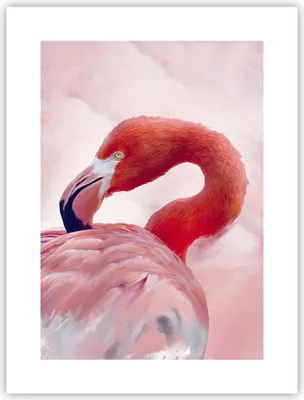 Produktbild von Poster - Poster ohne Rahmen - Flamingo Vogel Porträt - 30x40 cm - Wand Bild - Wanddeko - Wandbilder - Kunstposter - Wandposter - Bilder - Kunstdruck - Wanddekoration - Wandbild - P2XPA30x40-4984