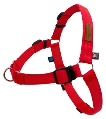 Produktbild von DOGCESSORIES® FUREVER Easy Walk Trainingsgeschirr für kleine Hunde