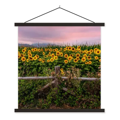 Produktbild von MuchoWow® Textilposter Sonnenblume - Blumen - Pflanzen 40x40 cm mit schwarzem Rahmen - Fotos